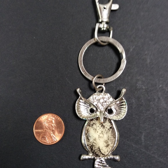 Unique Owl Key Chain - Picture 4 of 5